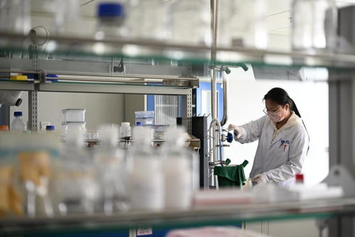 解碼信心 一家生物技術企業的創新密碼與發展藍圖